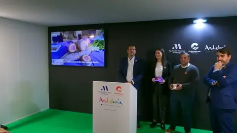 Portada de la playlist FITUR 2024 en Kapikúa TV.