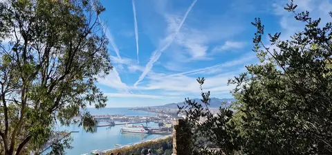 Vista del puerto de Málaga entre árboles desde Gibralfaro.