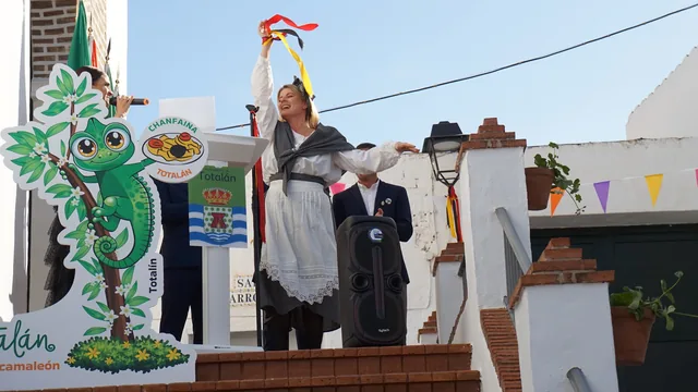 Figura de gallo y personaje verde en un escenario blanco.